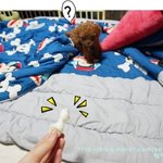 <b>망치</b>의 합정동 적응기2 !!!