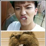 [BAP] 이거 유영재 닮은꼴 ㅋㅋ
