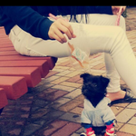 깜순이를 찾습니다ㅠㅜ [성남 <b>상대원</b>1동]