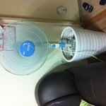 선풍기 <b>화분</b>