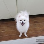 여자는 어려워 한글이판 [40]