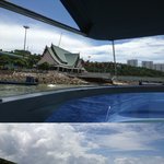 파타야 다녀왔어요 ㅎ
