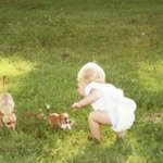 아기와 <b>동물</b> 17