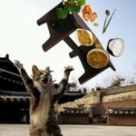 <b>현존</b>하는 전설속 동물은