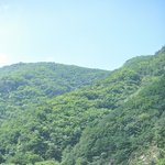 8명 무지개핑크 친척들 여행 또 다녀왔어요!! (사진有)