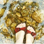 올레tv <b>now</b> 이벤트!! 100% 당첨된대요!