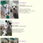 엄마를 기다리는 아이들