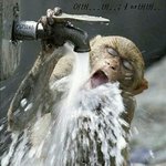 키티녀 빨대녀들이있지만 나는 어장남이다ㅋ