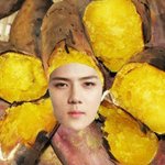 [EXO] <b>토나</b>올꺼같애 시발