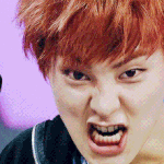 [EXO] 아낼스케줄겁나짱너