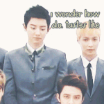 [EXO] 박찬열 <b>비글</b> 짤 갖고왔다 꼭 봐
