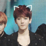 [EXO] 왠 <b>사골국</b>? 난 좋아함 백현이