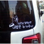(재밌는 사진) * <b>백구</b>의 고민 *