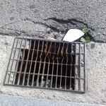 인육......쓰레기처리?