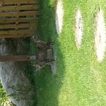 산에있는 <b>별장</b>에 고양이가있어요....