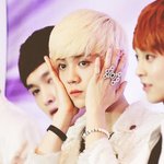 [EXO] 엑소멤버들도<b>인정</b>한루한성격