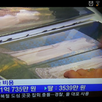 여성이 차별받는 이유