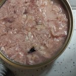 0조참<b>치안</b>에 뭐죠...?
