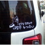 (재밌는 사진) * <b>백구</b>의 고민 *