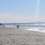 밴쿠버소녀가 추천하는 밴쿠버. 느낌아니까~