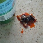 초장병에서 <b>담배</b>꽁초랑 깻잎찌꺼기가; (<b>사진</b> 有)