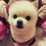 <b>포</b><b>메</b>판 우주