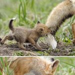 [미쓰에이] [윤후와 <b>윤민수</b>]