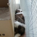 하늘이와 아가야들 ( 4 )