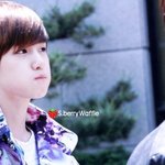 [EXO] 모기 <b>시로</b>~>< 백효나ㅠㅠ