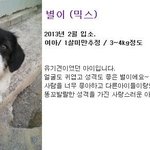 평생 가족이 되어주세요