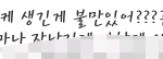 개같은년