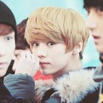 [EXO] 늑미 뮤직<b>비디오</b>드라마 있잖아..
