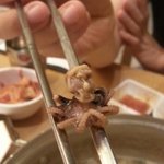 주꾸미로 <b>환생</b>하신 링컨대통령님..