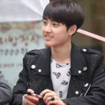 [EXO] 디오 심장<b>어택</b> 짤