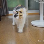 유봉오빠 아빠가 간식 먹으래~(유봉이네)