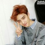 [EXO] 도디오 팬 요기요기