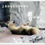 클로이 인증사진 올린다