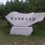 토요일날 <b>한일</b>