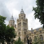 [LIFE]영국- 박물관이 살아있다?! 런던 자연사 박물관!