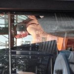 <b>망고</b>식스에서 크리스탈이랑 박신혜 봄