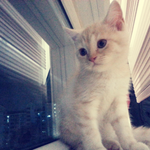 <b>쩍</b><b>벌</b>콩이를 소개합니당ㅎㅎ