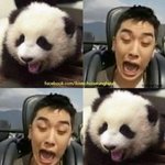 [빅뱅] 빂들어와주깅