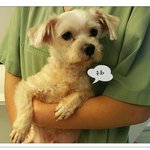 더불어 함께~ <b>ing</b>...!