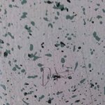 <b>이기호</b>가뭘까요?ㅠㅠ