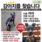 저 좀 도와주세요...ㅠ