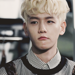 [EXO] 멋있는게 좋아 귀여운게 좋아?