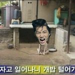 [EXO] 안녕하십니까?