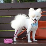 모델이 된 한글이 (41)