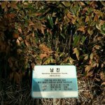 남친 만나러 <b>공원</b>감