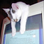 [간단 이벤트공유] 국제전화 <b>무제</b>한 요금제 알아보고 간단 이벤트...